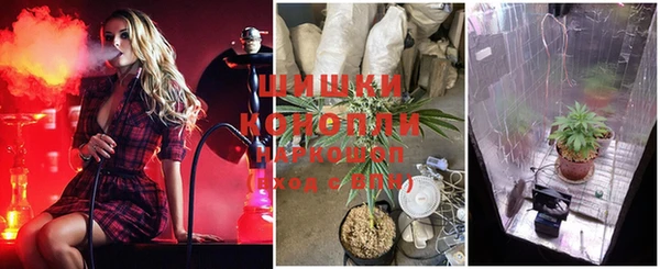 трава Новозыбков