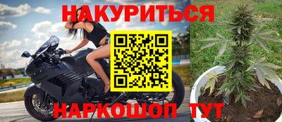 ПСИЛОЦИБИНОВЫЕ ГРИБЫ Аргун