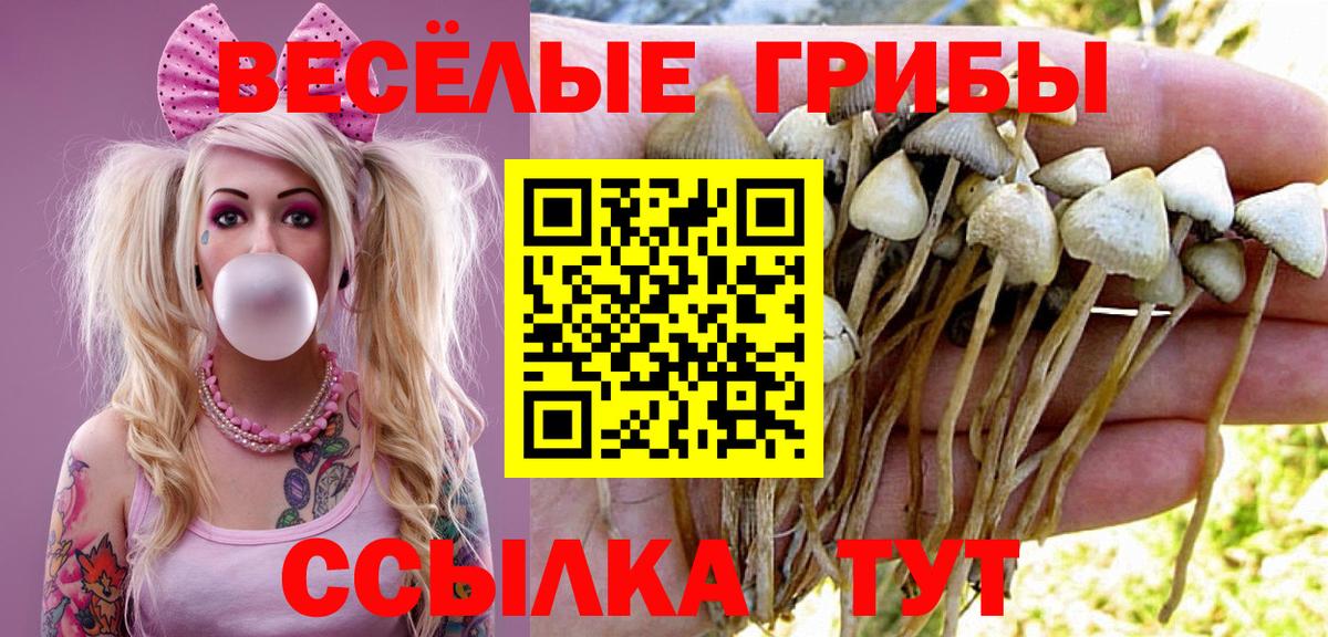 Галлюциногенные грибы Psilocybine cubensis  Галлюциногенные грибы Cubensis  Балаково  Вход с VPN 
